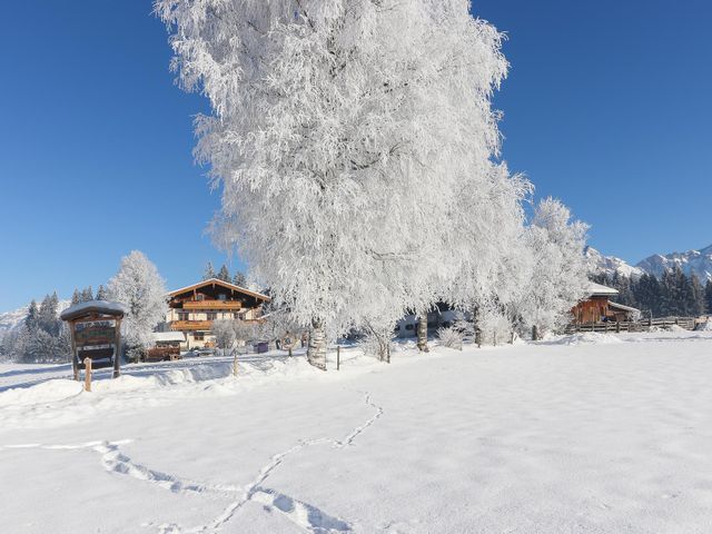 bauernhof-winterurlaub-maishofen (7).jpg
